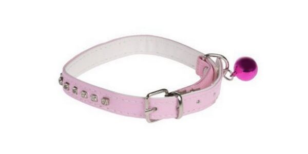 katzenhalsband-mit-glockchen-und-gummizug-0044 Katzenhalsband mit Glöckchen und Gummizug (0044)