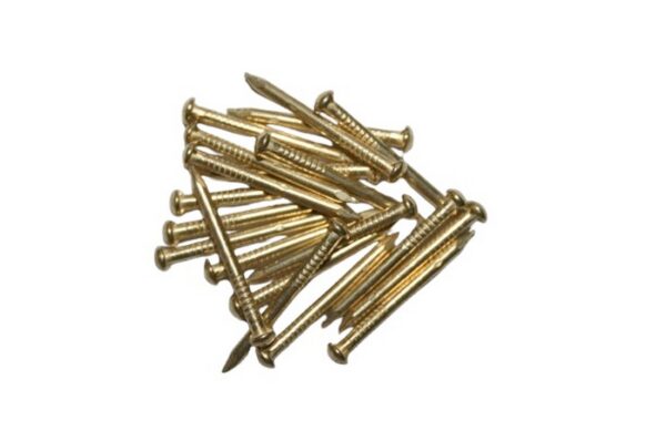 Messingnägel 15*1.8mm Linsenkopf Rundstiftnägel 20 Stück (0452)